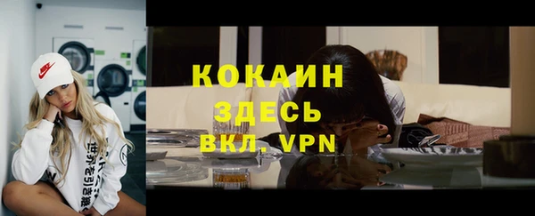 индика Арсеньев