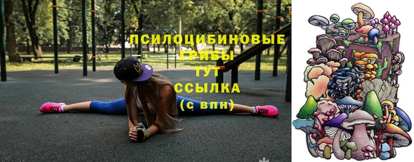 spice Армянск