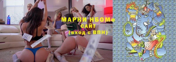 индика Арсеньев