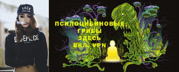 индика Арсеньев