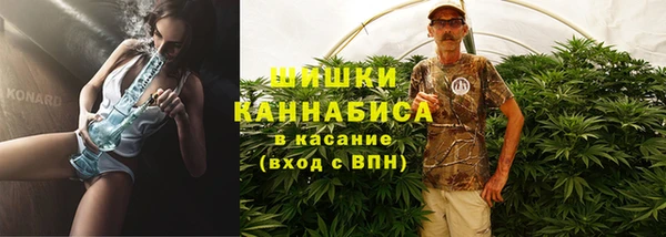 индика Арсеньев