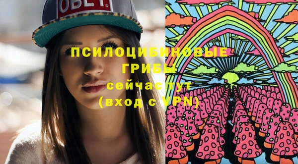 индика Арсеньев