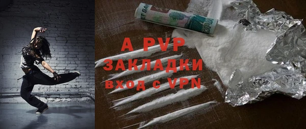 индика Арсеньев