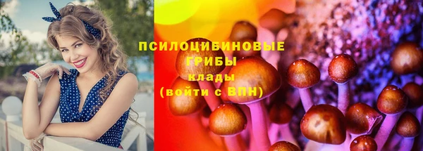 mdpv Аркадак