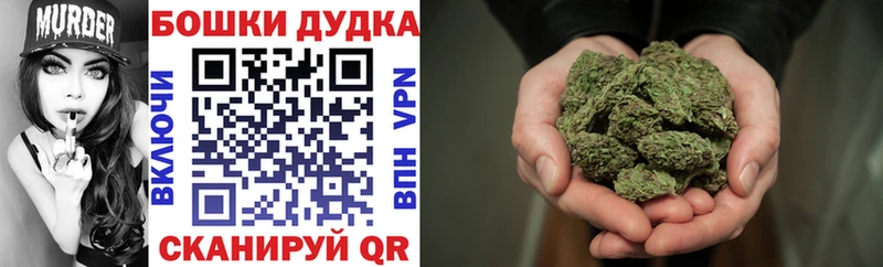 Канабис план Куса